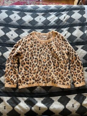 Cheetah Wonderly Sweater - 2X